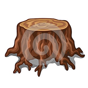 Old stump of a tree with roots isolated on white background. Vector illustration.