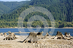 RIVER AND STUMP BEACH