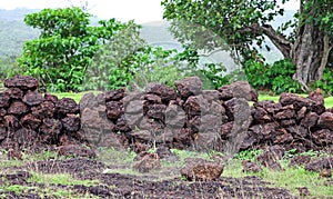 Old Style Boundary Wall