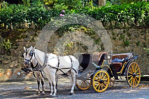 Old style coach with horses