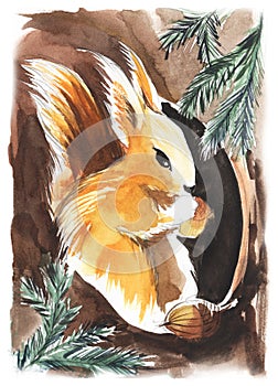 Old style drawing. a red fluffy squirrel sits in a hollow and gnaws at acorns. Hand drawn watercolor illustration