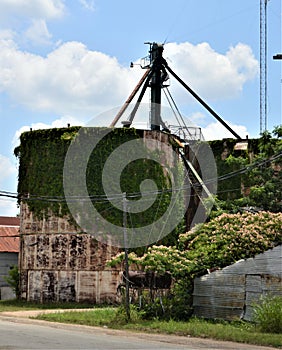 Old style elevator storage units that have overgrown with vines in Texas town
