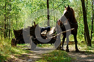 Old-style horse wagon