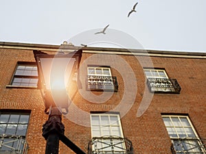 Old style lantern lamp in a street. Old red brick building in the background. Sea gull flying high in the air out of focus. City