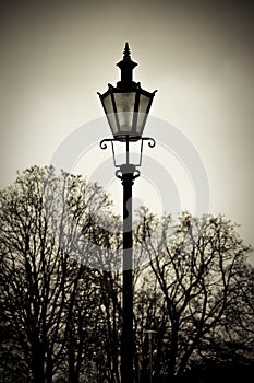 Old style lantern with trees in background