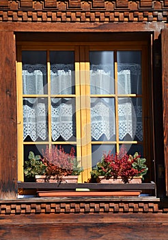 Old style open windows of a house