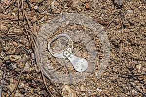 Old style pull tab on the beach