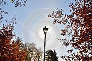 Old style street lamp on sky background