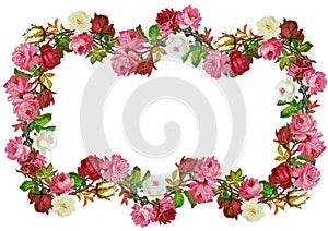 Old style vintage rose border