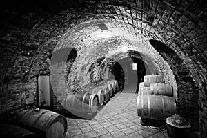 Old style wine cellar with wooden barrels