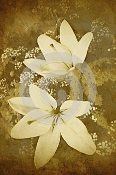 Old-styled flowers background