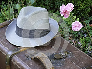 Old Suitcase, Hat and Roses