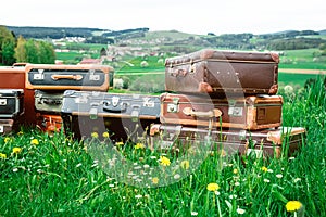 Old suitcases in the grass