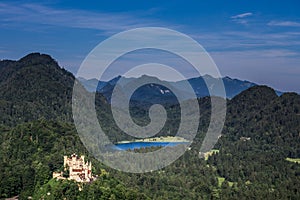 The Old Swan Castle forest