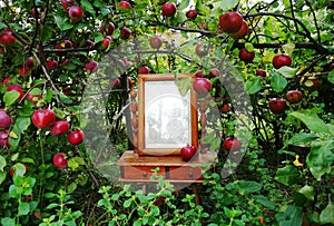 Old table mirror in a wooden frame on the background of an apple tree with red ripe apples