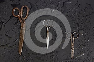 Old tailors scissors