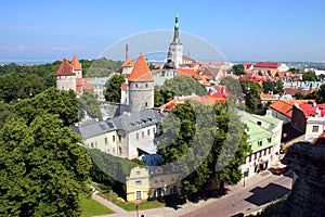 Old Tallinn