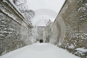 Old Tallinn, Estonia, winter