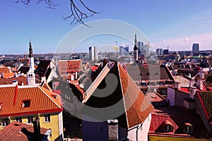 Old Tallinn and its old red roofs and a new city, panoramic view, Estonia