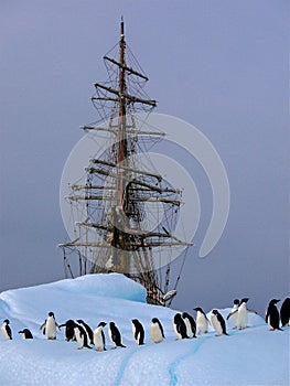 Old tallship or sailboat with adelie penguin