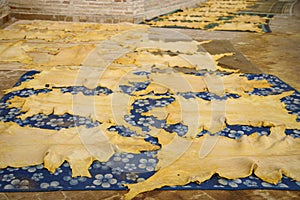 Old tannery in Fez, Morocco