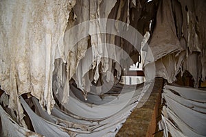 Old tannery in Fez, Morocco