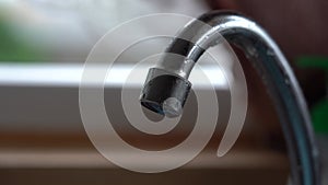 The old tap on the kitchen mixer is leaking. Tap water dripping. Daylight macro photography