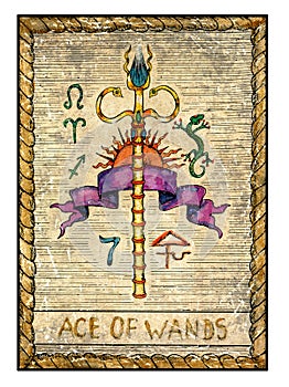 Old tarot cards. Full deck. Ace of Wands photo