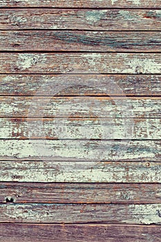 Old teal shabby wooden planks with cracked color paint