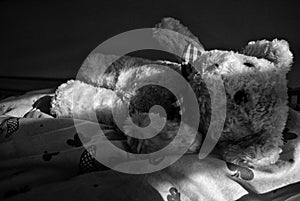 An old Teddy Bear left on the bed in a play of light and shadow Monochrome technique