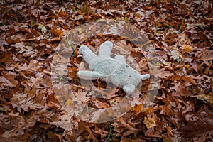 Old teddy bear lies alone in the park on the dry leaves.