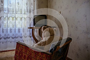 Old Teddy bear sitting on chair and watching TV