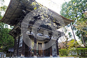 Old temple with nice sakura flower