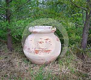 Old terra cotta jar in the garden