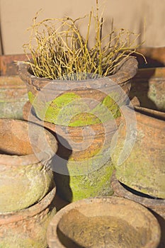Old terracotta pots