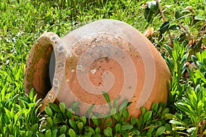 Terracotta vase on the lawn photo