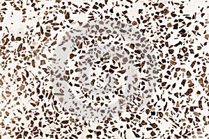 Old terrazzo floor abstract background , Brown black and white color texture