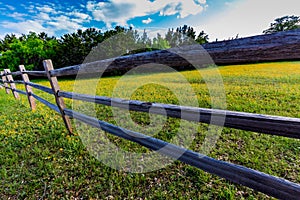 An Old Texas Wooden Rail Fence with a Field Peppered with Texas