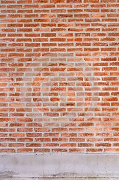 Old Texture brick wall background with plant - copy space