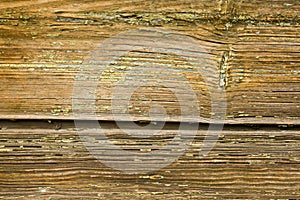 Old textured wood background. The surface of the old wooden texture