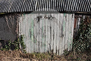 Old textured wood and bolt on an old shed