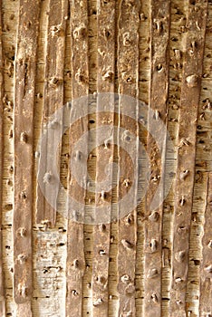 Old textured wooden background