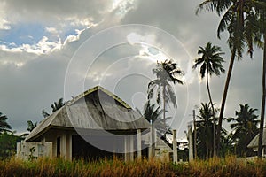 Old Thai house with palms trees