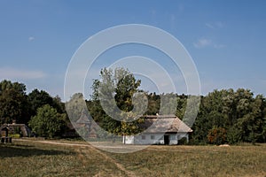 Old thatched cottage in the forest