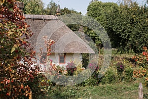 Old thatched cottage in the forest