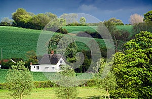 Old thatched cottage, rolling farmland, dappled sunlight