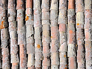 Old tile roof texture.