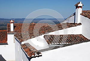 Old tile roofs(Portugal) photo