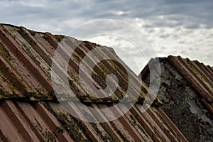 Old tiled roof covered with green moss against gray cloudy sky. Close up.