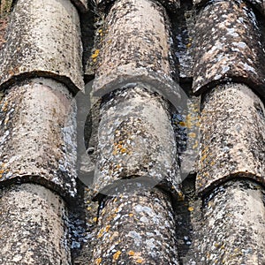 Old tiles with lichens texture. Old roof tiles on old house.